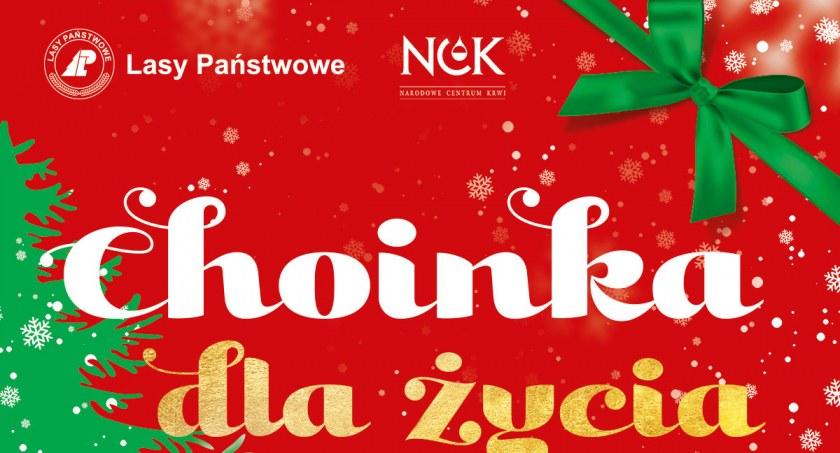 Zdjęcie: Choinka dla życia to wyjątkowa akcja propagująca krwiodawstwo 
