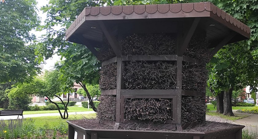 Zdjęcie: UNowe ogniska Legionelli w kraju sprawiły, że urząd wyłączył tężnię