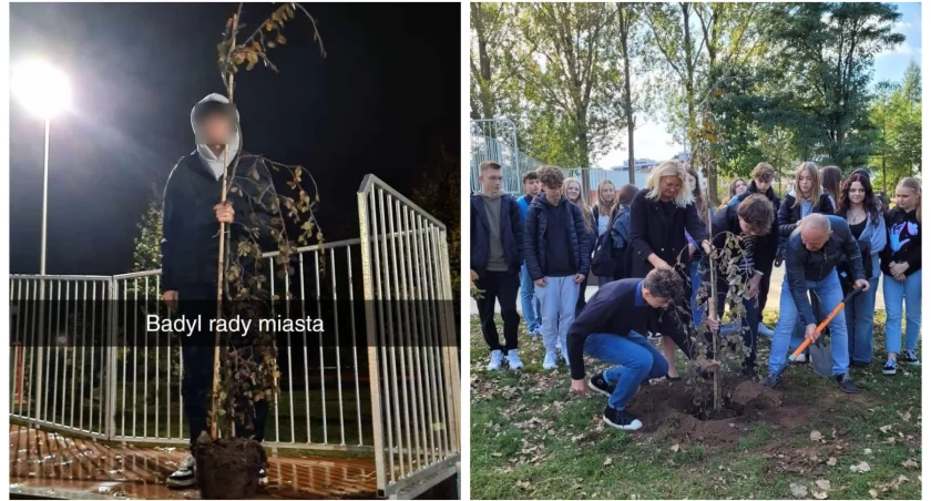 Zdjęcie: Młody wandal wyrwał drzewko i pochwalił się tym na snapie