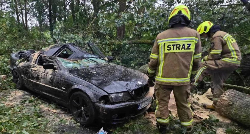 Zdjęcie: Bmw, na które przewróciło się drzewo, został zmiażdżone! W środku był człowiek 