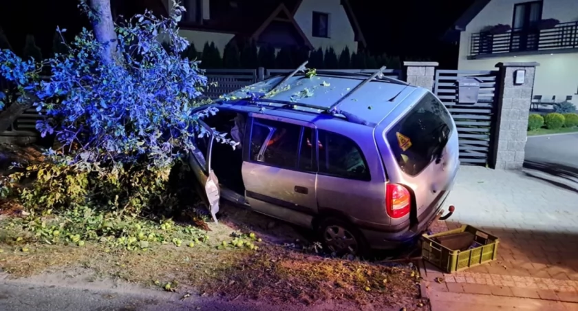 Zdjęcie: Opel uderzył w drzewo i ogrodzenie. Kierowca był po alkoholu