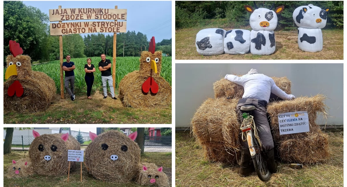 W Powiecie, przezabawny sposób zapraszają dożynki! - zdjęcie, fotografia