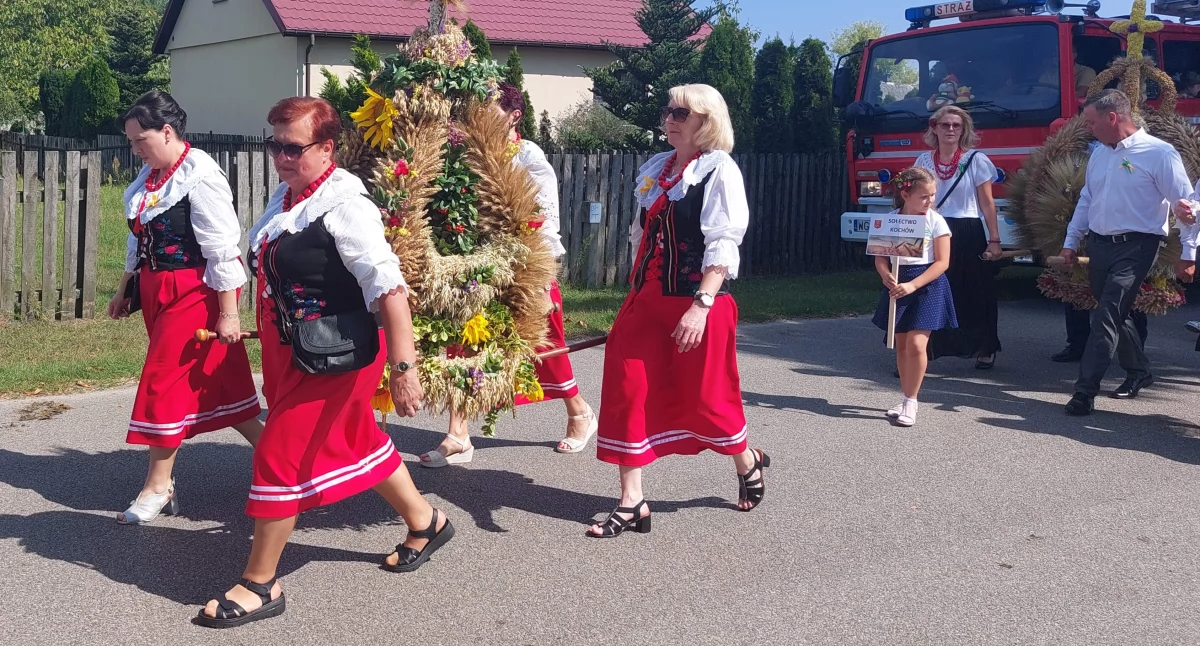 Uroczystości Powiat, Strychu dziękowali tegoroczne plony - zdjęcie, fotografia