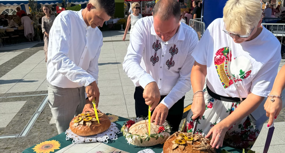 Uroczystości Powiat, Tradycja plony wspólne świętowanie Parysowie [ZDJĘCIA] - zdjęcie, fotografia