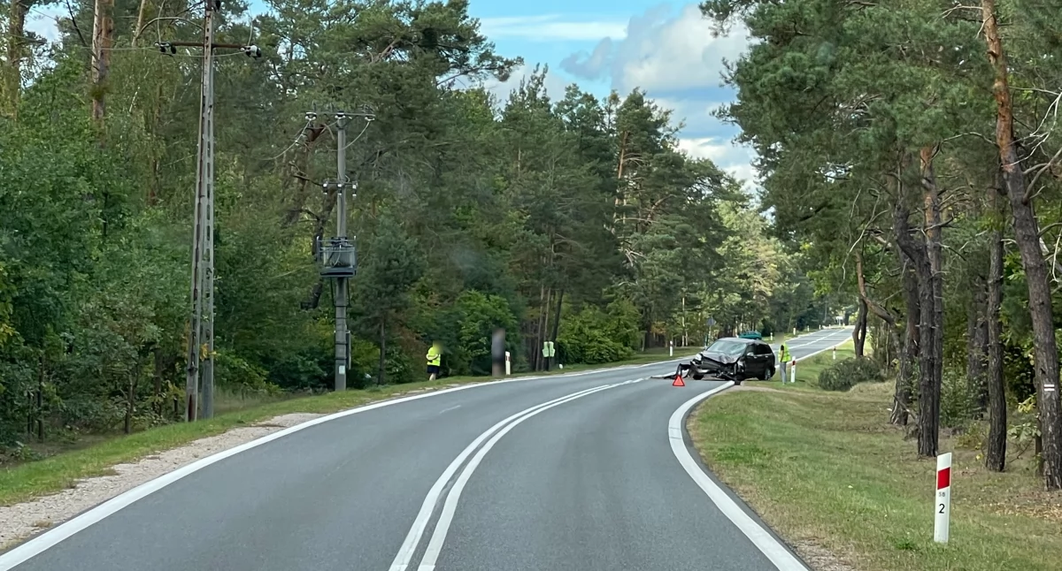 Wypadki drogowe , Zasnął kierownicą uderzył drzewo - zdjęcie, fotografia