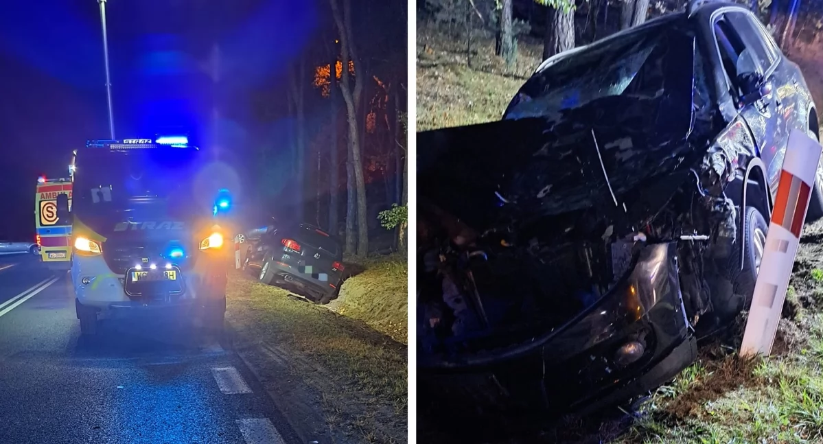Wypadki drogowe , Kierująca volkswagenem potrąciła łosia - zdjęcie, fotografia