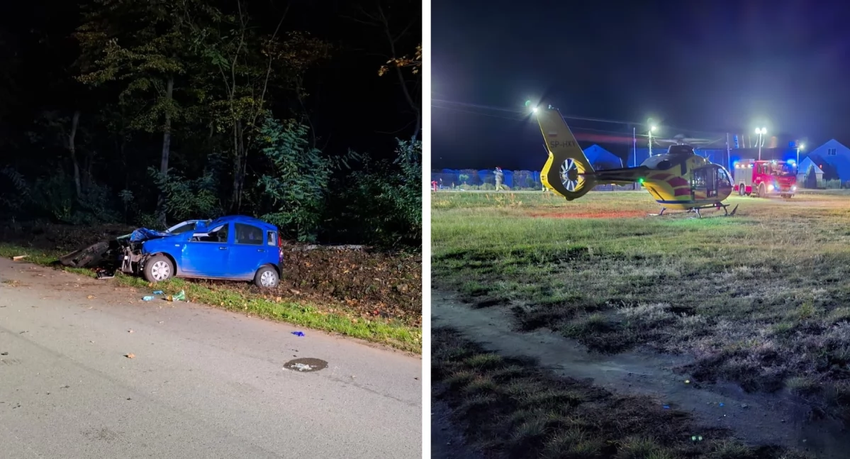 Wypadki drogowe , Samochód zderzył łosiem Kierowca szpitalu zwierzę przeżyło - zdjęcie, fotografia