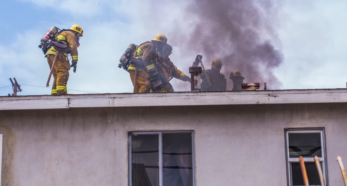 Artykuł Sponsorowany, Odzyskiwanie dokumentów skuteczne metody przywracania zalaniu pożarze - zdjęcie, fotografia