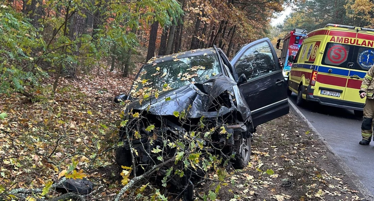 Wypadki drogowe , Kierowca zasłabł trakcie jazdy Samochód uderzył drzewo - zdjęcie, fotografia