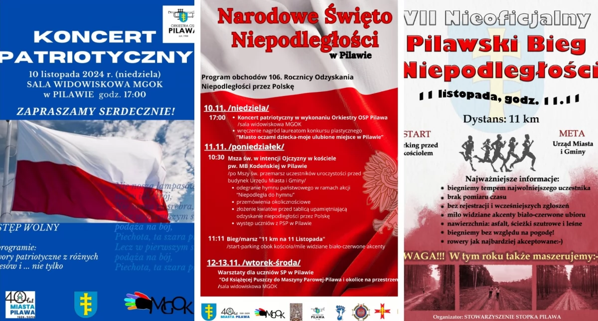 Uroczystości Powiat, Patriotycznie muzycznie sportowo - zdjęcie, fotografia