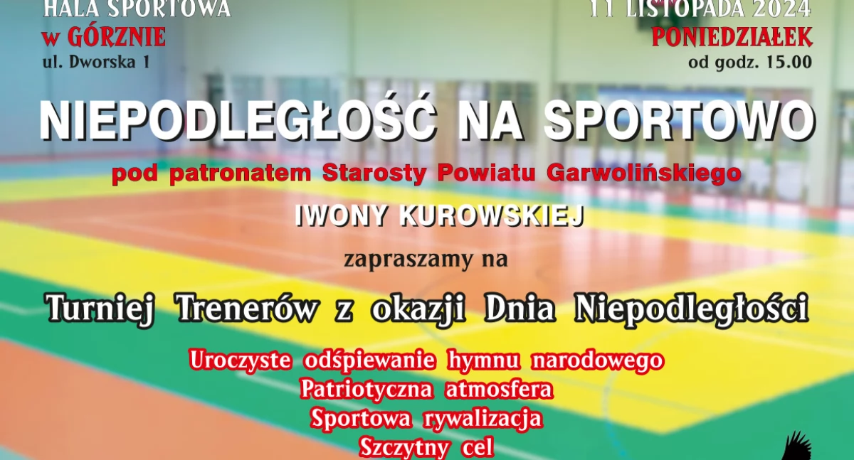 W Powiecie, Niepodległość Sportowo czyli Turniej Trenerów okazji Niepodległości - zdjęcie, fotografia