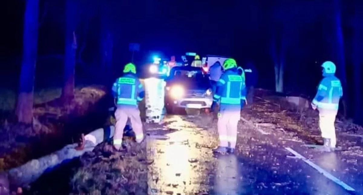Wypadki drogowe , samochody najechały drzewo leżące drodze - zdjęcie, fotografia