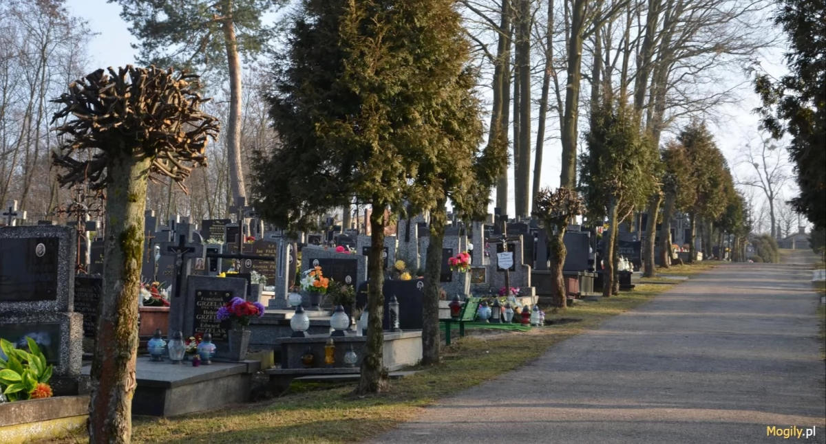 Sprawy kryminalne , Zbezczeszczenie grobów odpuścili nawet śmierci - zdjęcie, fotografia