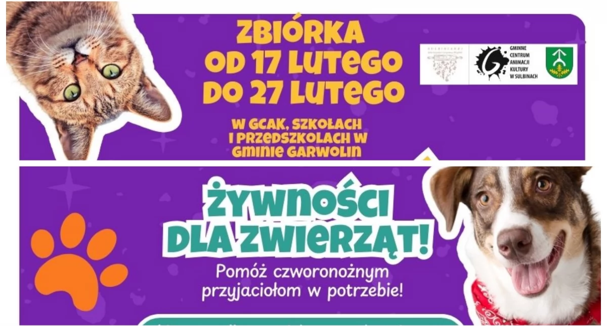 W Powiecie, Miska Szczęścia Zbiórka żywności psów kotów - zdjęcie, fotografia
