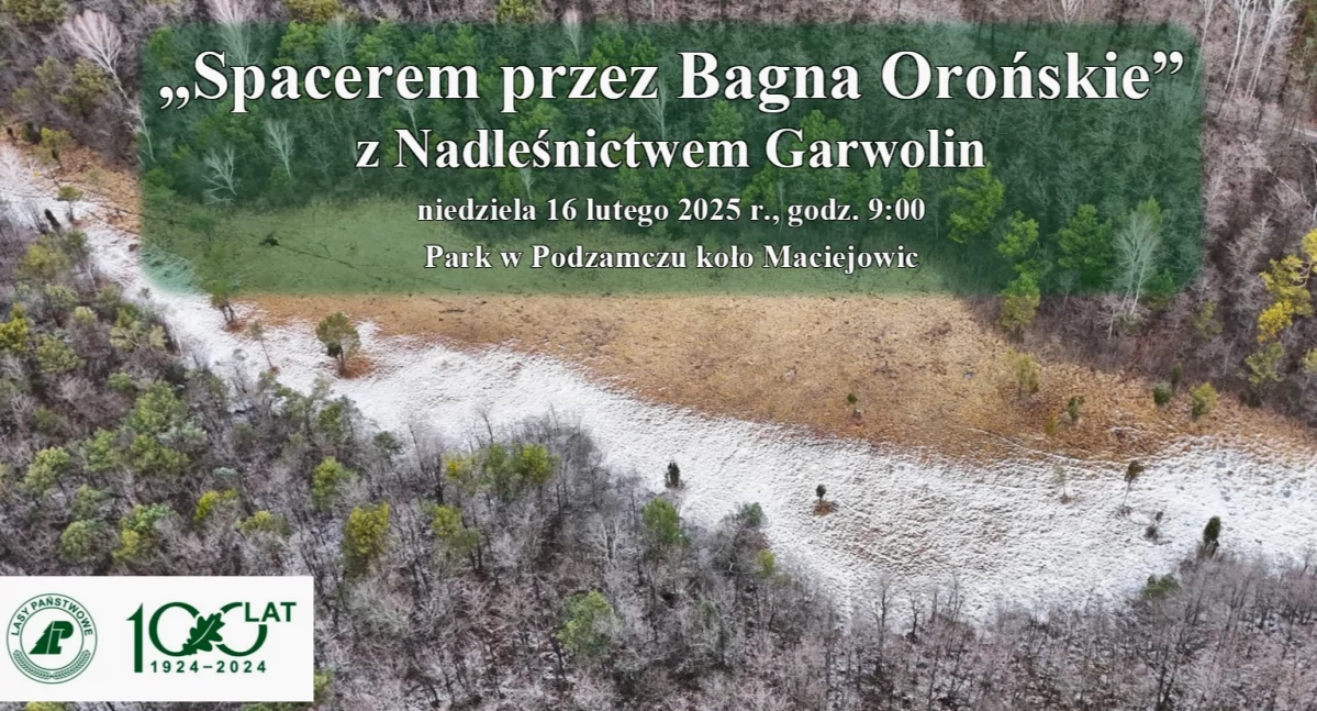 Inne Ciekawostki, Zapraszają wędrówkę bagnach - zdjęcie, fotografia
