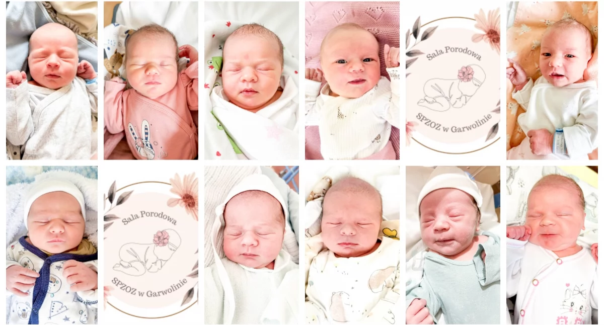 Inne Miejskie, najmłodsi mieszkańcy Cudowne maleństwa naszego szpitala - zdjęcie, fotografia