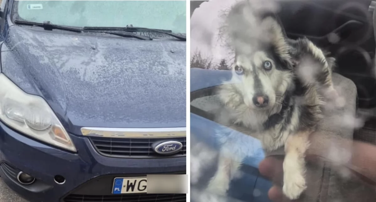 Inne Miejskie, mroźny dzień zostawiła samochodzie Interweniowała policja - zdjęcie, fotografia