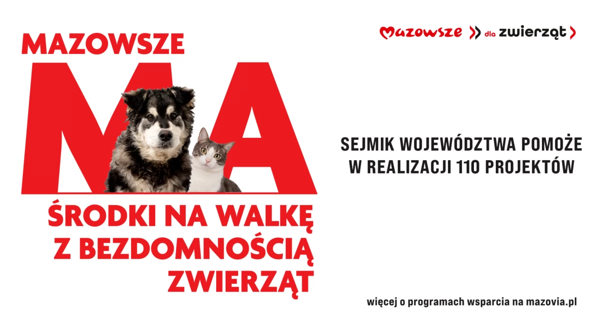Inne Powiat, pieniądze walkę bezdomnością zwierząt - zdjęcie, fotografia
