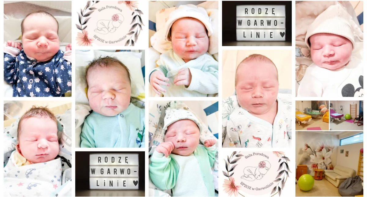 Inne Miejskie, najmłodsi mieszkańcy Wiktoria Antoś Fabian Mikołaj Romek Julek - zdjęcie, fotografia