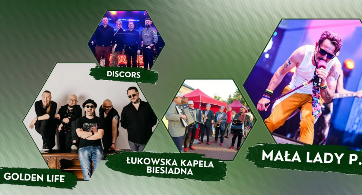 Festyny - Pikniki, Żelechowa Gwiazdami Mała Golden - zdjęcie, fotografia