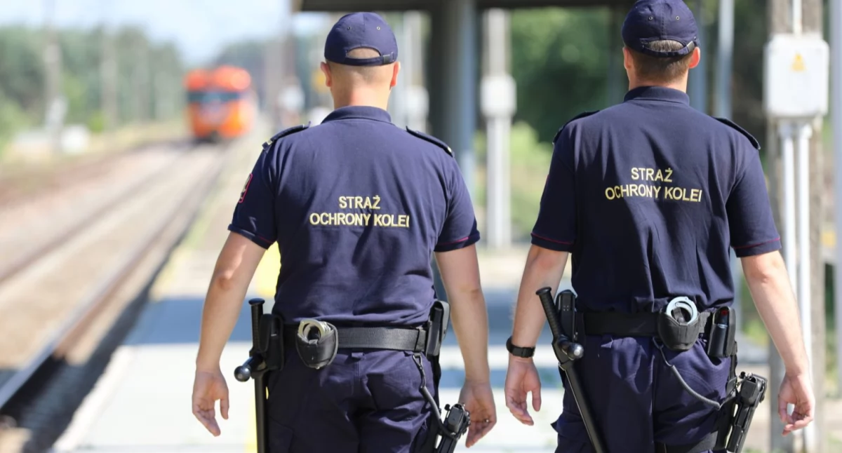 Sprawy kryminalne , Agresja wobec funkcjonariuszy Mieszkaniec powiatu towarzyszka zatrzymani - zdjęcie, fotografia