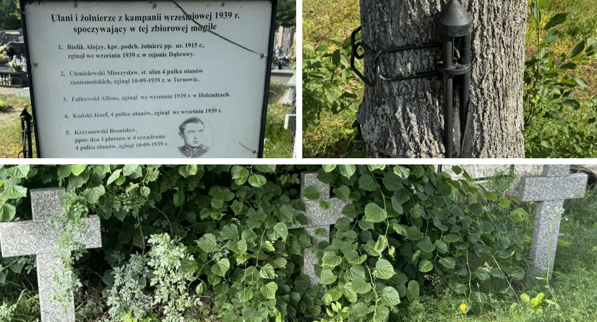 Interwencje Powiat, Zaniedbane groby wojenne odpowiada - zdjęcie, fotografia