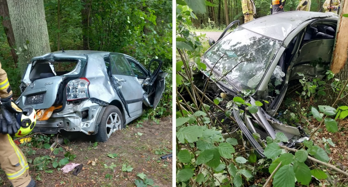 Wypadki drogowe , Toyotą drzewo Kierowca pijany - zdjęcie, fotografia