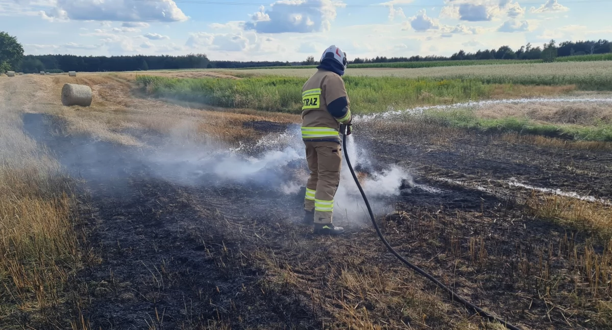 Pożary - interwencje straży, Pożar ścierniska słomy Strażacy opanowali zagrożenie - zdjęcie, fotografia