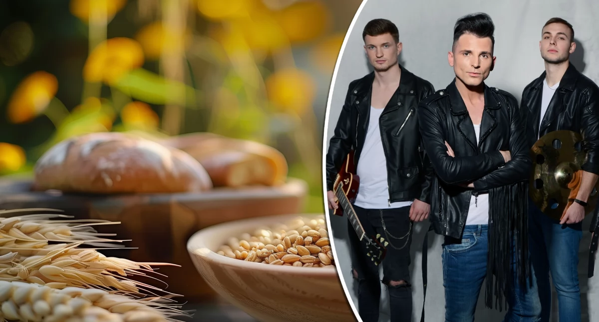 W Powiecie, Święto Gminy Borowie Dożynki muzyka zabawa Gwiazdą wieczoru zespół Milano! - zdjęcie, fotografia