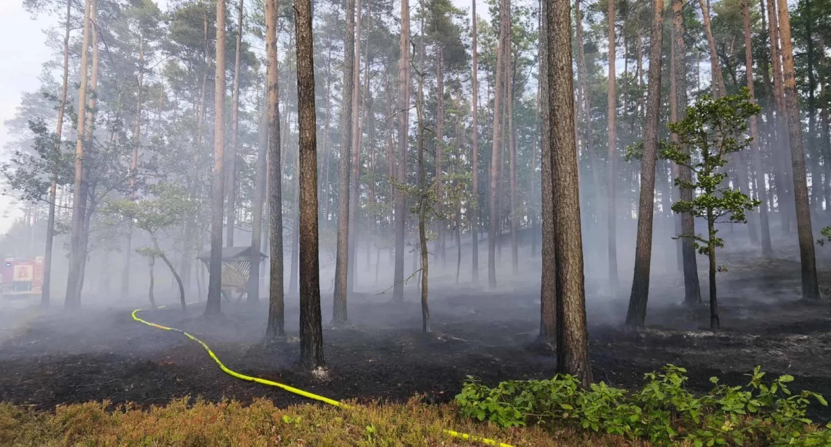Pożary - interwencje straży, Pożar szybka reakcja służb - zdjęcie, fotografia