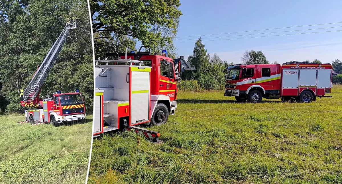 Pożary - interwencje straży, uwięziony drzewie Akcja strażaków Wygody Garwolina - zdjęcie, fotografia