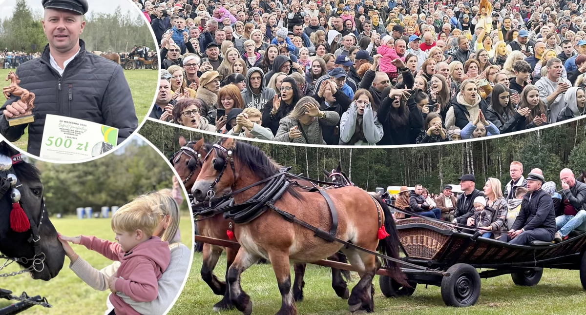 Festyny - Pikniki, Konie emocje przeboje muzyki tanecznej Regionalne Święto Hodowców Górkach zachwyciło! - zdjęcie, fotografia