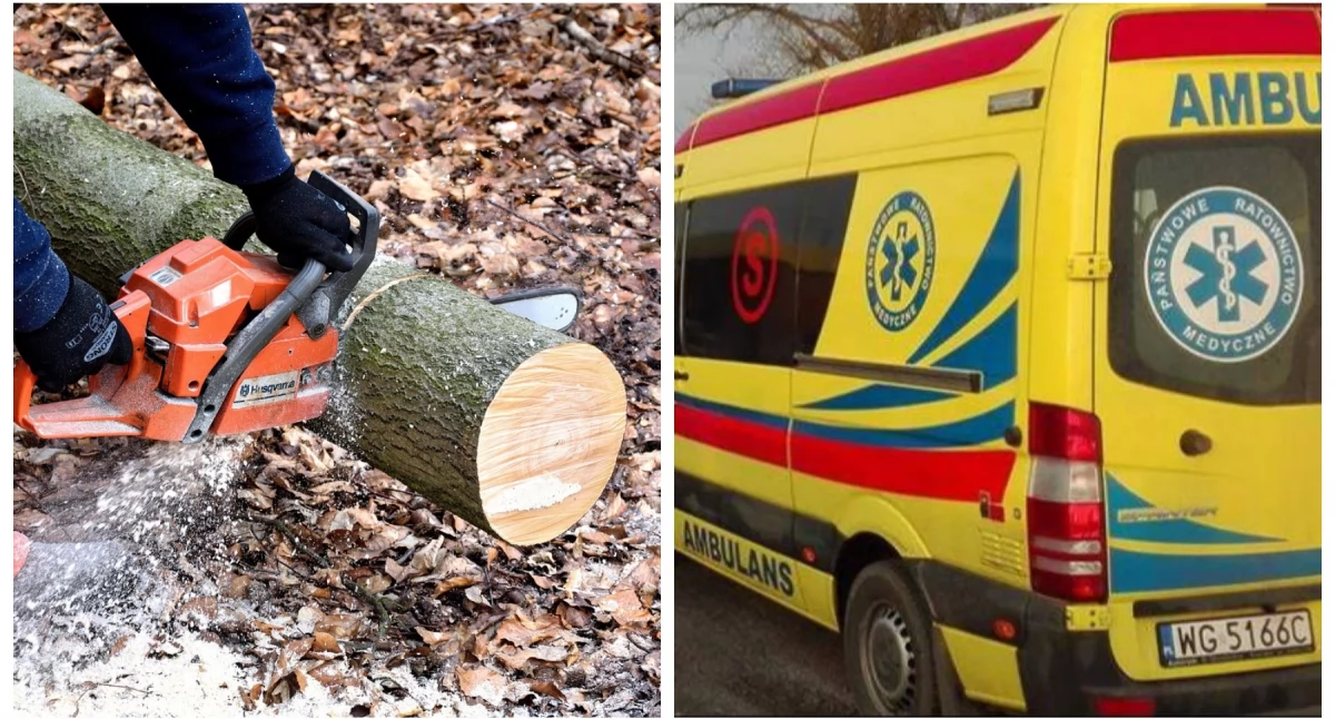 Inne Powiat, latek zraniony piłą mechaniczną Dziecko trafiło szpitala - zdjęcie, fotografia