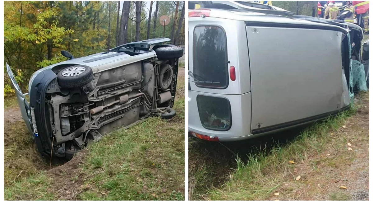 Wypadki drogowe , Niebezpiecznie Samochód uderzył dzikie zwierzę Interweniowały służby - zdjęcie, fotografia