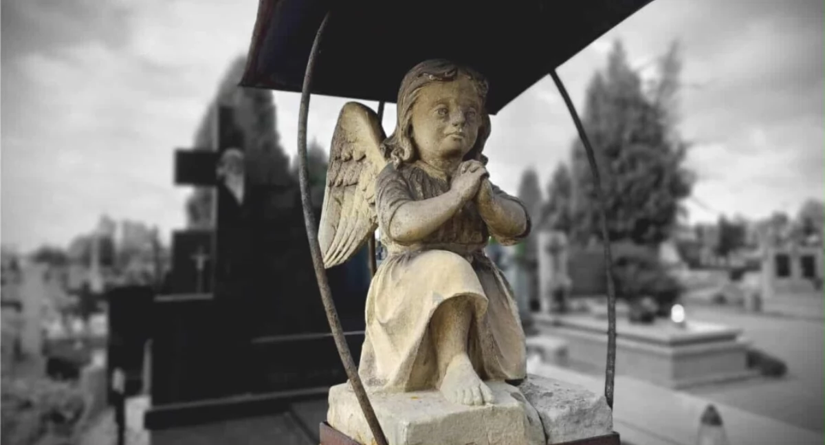 Rusza coroczna akcja ratowania pamięci! Czy wspomożesz ten szlachetny cel?