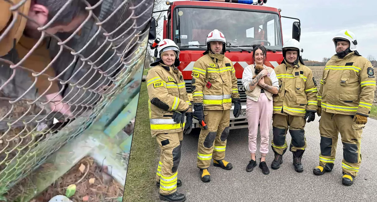"Stałam i płakałam. On się dusił" - Dramatyczna relacja pani Wioli i podziękowanie dla strażaków