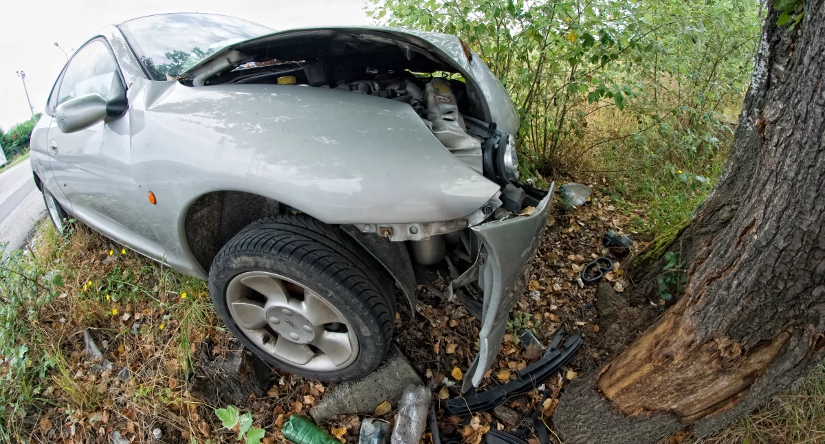 Samochodem uderzyła w drzewo - Kierująca wyjaśniła, co się stało