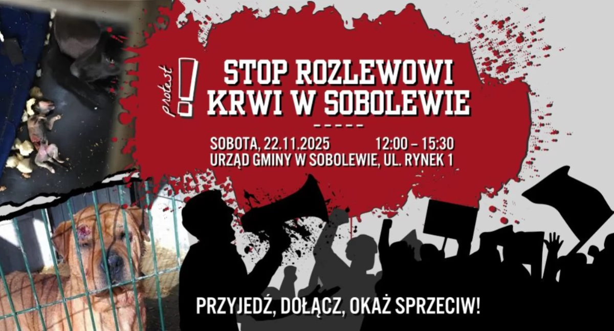 Protest w obronie zwierząt ze schroniska Happy Dog już w sobotę!