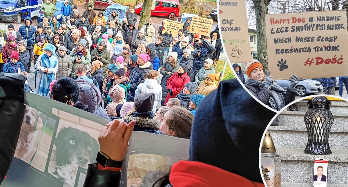 Trwa protest "Stop Rozlewowi Krwi"! Aktywiści wzywają do ratowania zwierząt ze schroniska Happy Dog