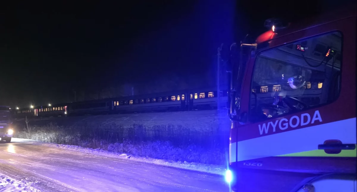 Ewakuacja pasażerów pociągu po zderzeniu z dzikim zwierzęciem