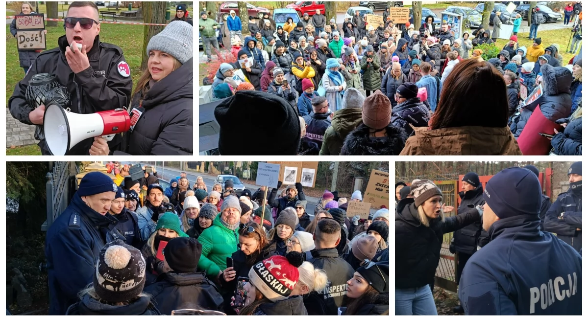Aktywiści żądają zamknięcia schroniska i dymisji wójta! WIDEO z protestu w obronie zwierząt