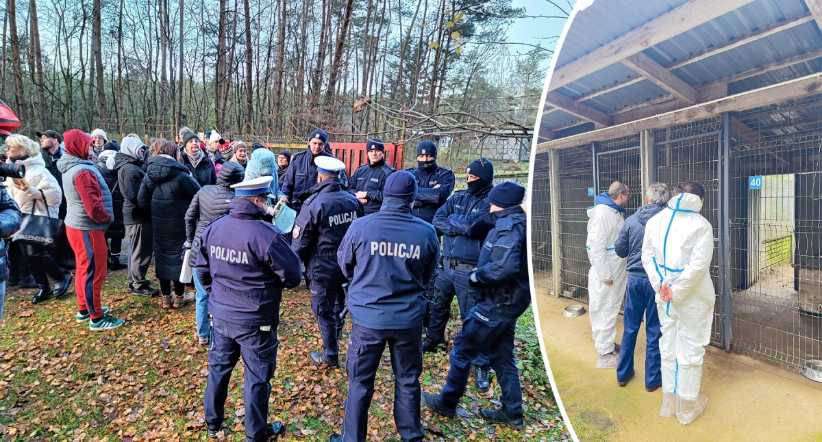 Inne Powiat, Burza wokół schroniska gminie Sobolew Wojewoda kontruje zarzuty aktywistów przyznaje uchybienia - zdjęcie, fotografia