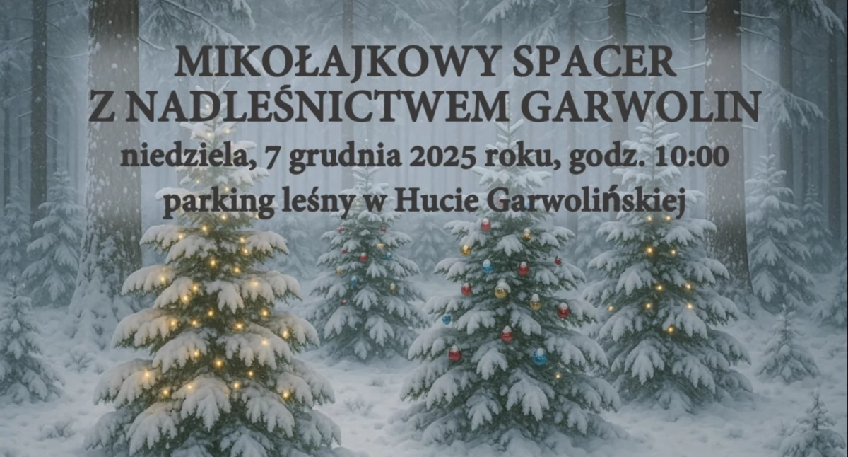 Leśne Mikołajki: Nadleśnictwo Garwolin zaprasza na ostatni w roku spacer przyrodniczy