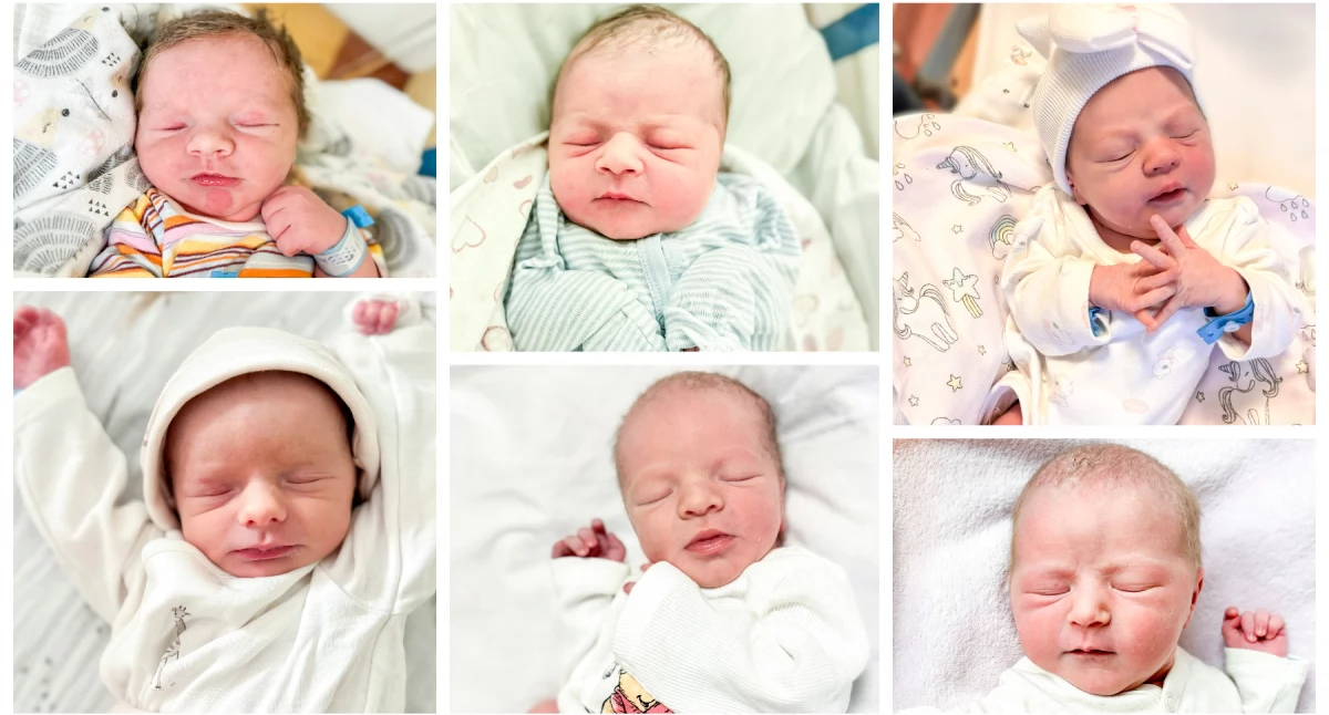 Inne Ciekawostki, najmłodsi mieszkańcy Noworodki garwolińskiej porodówki - zdjęcie, fotografia