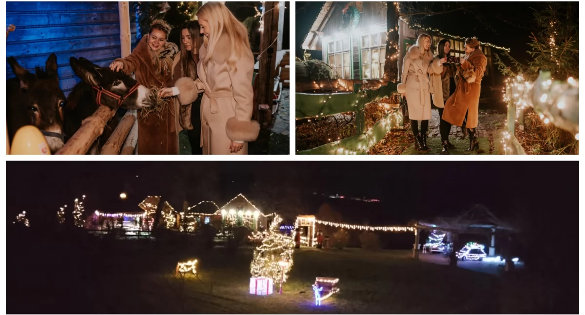 W Powiecie, Stajenka zwierzętami zimowe miasteczko kolędowanie ognisko Talaria zaprasza! - zdjęcie, fotografia