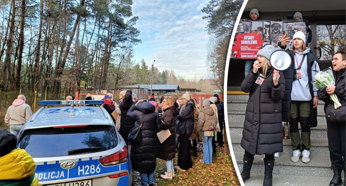 Inne Powiat, aktywiści obronie psów Sobolewa Będzie następna manifestacja - zdjęcie, fotografia
