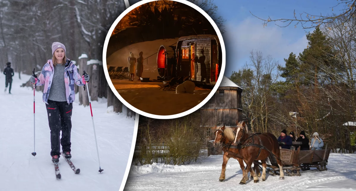 Zdjcie: Projekt „Zima na Mazowszu” pokazuje, że w chłodniejszych miesiącach region nadal oferuje wiele atrakcji dla dzieci, dorosłych i całych rodzin