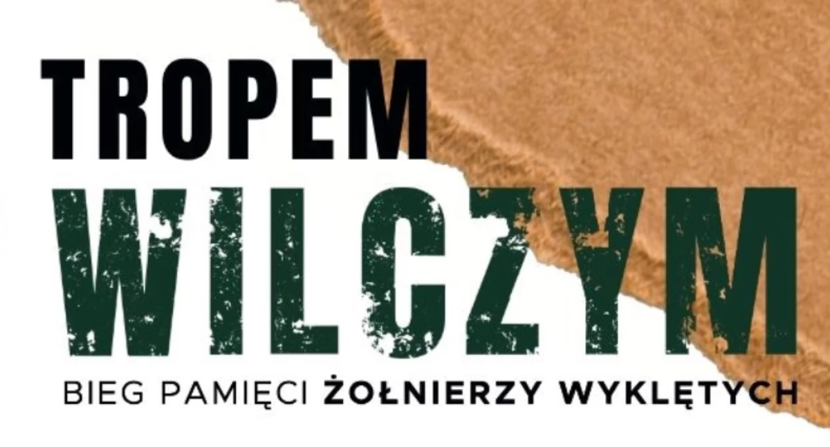 Biegi, przegap! Tropem Wilczym sport historia Sulbinach - zdjęcie, fotografia