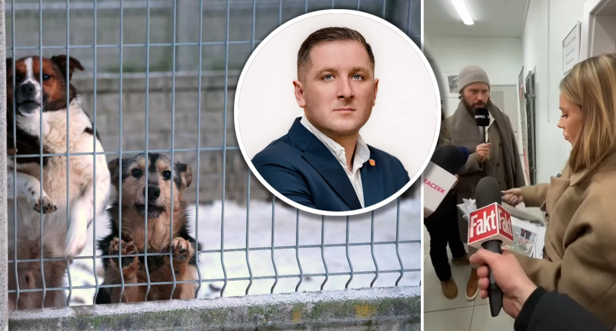 Inne Powiat, wizycie Sobolewie wójt bezczelny butny! komentarz włodarza - zdjęcie, fotografia