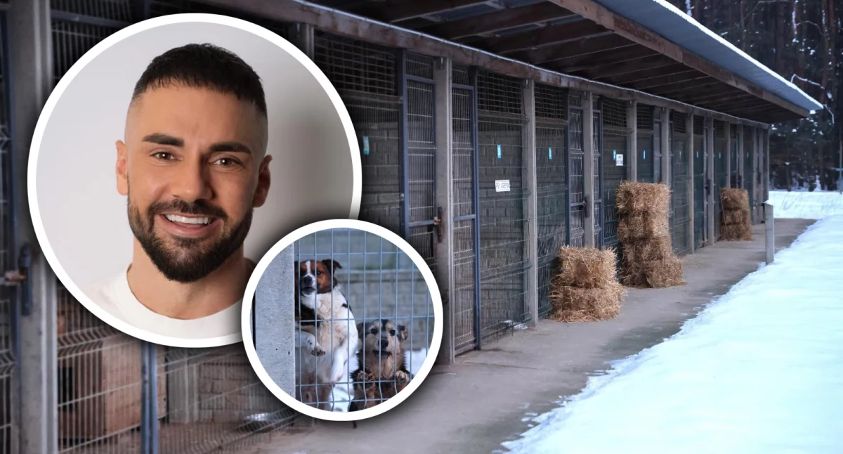 Inne Powiat, Wojna schronisko Sobolewie! Litewka proponuje tysięcy złotych - zdjęcie, fotografia